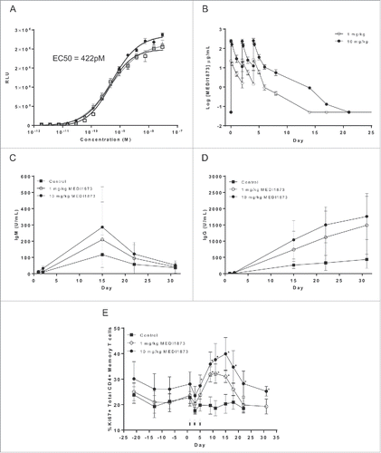 Figure 4. Functional activity of MEDI1873 in vivo. (A) Luminescence signal (RLU) downstream of an NFκB-luciferase reporter gene in cynomolgus monkey GITR-transfected Jurkat cells following addition of MEDI1873, or appropriate isotype matched control. Error bars represent the SEM from triplicates. (B) The pharmacokinetic profile of MEDI1873 in cynomolgus monkeys upon IV bolus administration at 1 or 10 mg/kg on Day 1, 3 and 5. (C) Serum tetanus toxoid-specific IgM in cynomolgus monkeys treated as described in (B). (D) Serum tetanus toxoid-specific IgG in cynomolgus monkeys treated as described in (B). (E) percentage of circulating CD3+CD4+CD95highCD28+/dim/− cells expressing Ki67 in cynomolgus monkeys treated as described in (B). Arrows indicate days of administration. Stars indicate study days on which statistical significance (p < 0.05; ANOVA) compared with control was achieved.