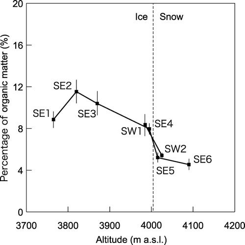 Figure 5 Altitudinal distribution of percentages of organic matter in surface dust (dry weight) on the Ürümqi Glacier No. 1. Error bars indicate standard deviation.