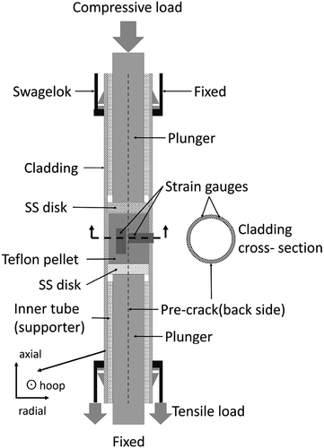 Figure 1. Scheme of biaxial-EDC apparatus.
