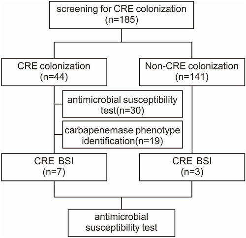 Figure 1 The flow-chart of the present study.