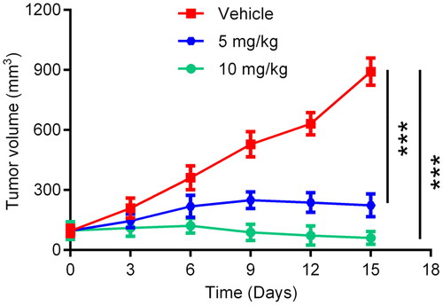 Figure 11. In vivo anti-tumour effects of HP-4. Data are represented as mean ± SD, n = 5. ***p < 0.001.