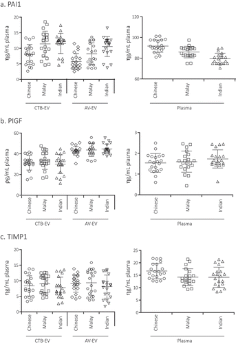 Figure 3. a, b, c Concentration of PAI1, PlGF and TIMP1 in healthy pregnant women of 3 different races. The concentration of PAI1, TIMP1, and PlGF in plasma, plasma CTB-EV and plasma AV-EVs from 20 Chinese, 20 Malay and 20 Indian healthy pregnant patients at 34–39 weeks of gestation were assayed.