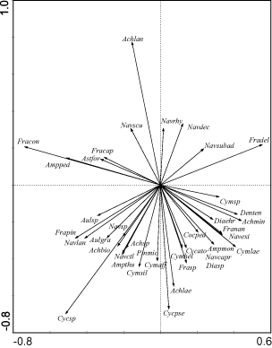 Fig. 5. Partial PCA ordination diagram of species. Substrates were used as covariables. Only species with a higher fit (cf. ter Braak & Šmilauer, Citation1998) in the analysis are shown. Species names are abbreviated.(Achbio – Achnanthes bioretii, Achlae – A. laevis, Ampmon – Amphora montana, Astfor – Asterionella formosa, Aulgra – Aulacoseira granulata, Aulsp – Aulacoseira sp., Cycato – Cyclotella atomus, Cycpse – C. pseudostelligera, Cymhel – Cymbella helvetica, Cymlae – C. laevis, Cymsil – C. silesiaca, Denten – Denticula tenuis, Diaehr – Diatoma ehrenbergii, Diasp – Diatoma sp., Fracap – Fragilaria capucina, Franan – Fragilaria nanana, Frasp – Fragilaria sp., Navcapr – Navicula capitatoradiata, Navdec – N. decussis, Navexi – N. exigua, Navlan – N. lanceolata, Navscu – N. scutelloides, Navsp – Navicula sp., Navsubad – N. subadnata, Pinmic – Pinnularia microstauron, other abbreviations see Fig. 3).