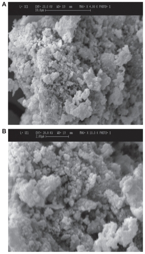 Figure 5 Scanning electron microscopy images of fluorapatite–hydroxyapatite nanoparticles (5A: 4000X; 5B:10,000X).