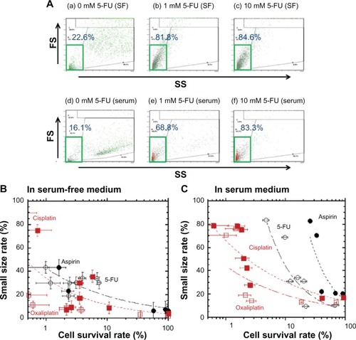 Figure 2 Reduction in LoVo cell size in both serum-free medium and serum-containing medium at high concentrations of anticancer drugs.