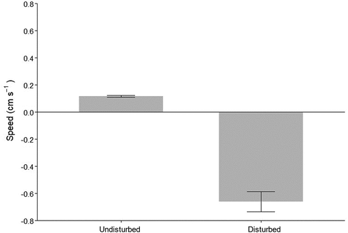 Figure 5. Vertical movement speed (mean ± s.e.) of undisturbed S. roscoffensis (upwards; positive values) and after disturbance (downwards; negative values) (Mann-Whitney, W = 37, p < 0.001). n = 30 worms.