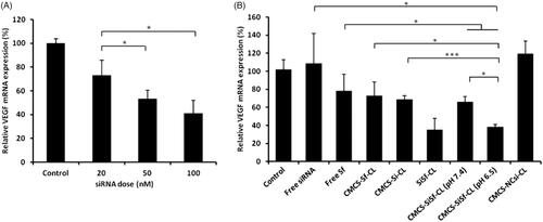 Figure 6. VEGF mRNA determined at 48 h by real-time PCR after treatment with various formulations in HepG2 cells. (A) VEGF mRNA determined after treatment with different dose of CL/siRNA. (B) VEGF mRNA determined after treatment with free siRNA, free Sf, CMCS-Sf-CL, CMCS-Si-CL, SiSf-CL, CMCS-SiSf-CL (pH 7.4), CMCS-SiSf-CL (pH 6.5),and CMCS-NCsi-CL in HepG2 cells. Non-treated cells serve as control. The data are presented as the mean ± SD (n = 3), *p < .05, ***p < .005.