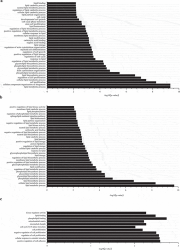 Figure 3. Gene Ontology (GO) functional enrichment analysis of differentially expressed miRNA with their target genes in group D4 vs D0 (a), D8 vs D0 (b), and D8 vs D4 (c).