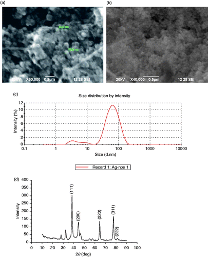 Figure 3. (a, b) SEM image of Ag NPs; (c) particle size analysis showing 91.9% of NPs of size 71.7 nm; and (d) XRD pattern of the biosynthesised Ag NPs.