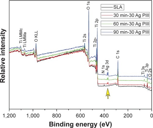 Figure 2 The typical XPS spectra of four different groups.Notes: The yellow arrow indicates the Ag 3d doublet two peaks.Abbreviations: Ag-PIII, silver plasma immersion ion implantation; SLA, titanium surfaces treated by sandblasting with large grit and acid etching procedure; XPS, X-ray photoelectron spectroscopy; 30 min-30 Ag PIII, titanium surfaces treated by first SLA procedure and then silver plasma immersion ion implantation at 30 kV for 30 minutes; 60 min-30 Ag PIII, titanium surfaces treated by first SLA procedure and then silver plasma immersion ion implantation at 30 kV for 60 minutes; 90 min- 30 Ag PIII, titanium surfaces treated by first SLA procedure and then silver plasma immersion ion implantation at 30 kV for 90 minutes.