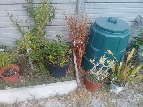 Figure 3 Compost bin used by home gardeners.