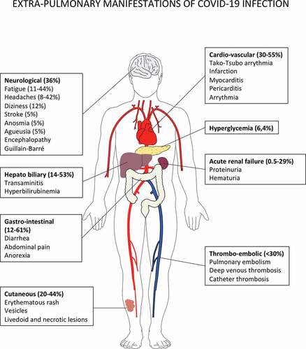 Figure 2. Extrapulmonary manifestations of COVID-19 identified in severe and critically ill patients (percentage in hospitalized patients).