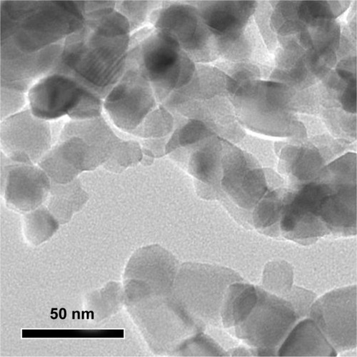 Figure 1 Transmission electron microscopy image for silica nanoparticles.