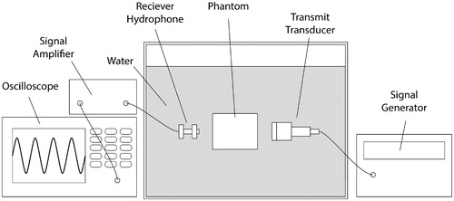 Figure 1. Schematic of through-transmission experimental setup. The signal generator sends a five-cycle burst to the transmit transducer. The generated acoustic wave travels through the phantom or a water-only reference sample, and the oscilloscope records the remaining transmitted signal after amplification. The use of a broadband transmit transducer (V314, Panametrics-NDT, Waltham, MA, USA) enables the acoustic properties to be measured at transmit carrier frequencies of 0.6, 1.0, 1.8, and 3.0 MHz.