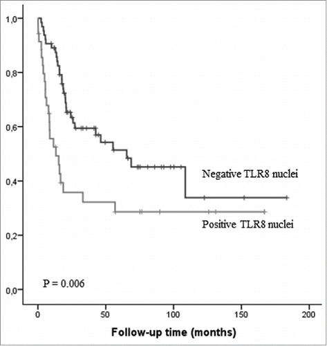 Figure 3. Kaplan–Meier survival curve in esophageal adenocarcinoma stratified by nuclear expression of TLR8 in the cancer cells.