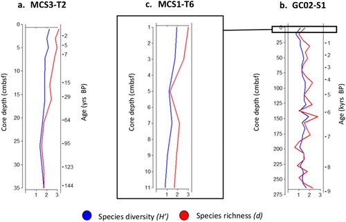 Figure 5. Species diversity and richness depth profiles of dinoflagellate cysts. Both species diversity (blue) and richness (red) displayed highest measures in the upper most samples of the MCS3-T2 and MCS1-T6 cores. For GC02-S1, maximum species diversity and richness were achieved at 150 cmbsf (∼6.2 kyrs BP).
