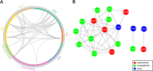 Fig. 3 MI network of seasonal H3N2 IAV PB2 protein.a Circular representation of PB2 protein and the MI network. The positions of PB2 domains are color-coded and labeled according to their functions. Arcs connect site pairs with normalized MI > 0.7. b Cytoscape representation of the MI network. Sites are represented as nodes. Edge between two nodes indicates the normalized MI > 0.7. Sites with experimentally verified human-adaptive mutations and computationally identified markers are highlighted in red and green, respectively, in a, b; blue nodes indicate novel markers