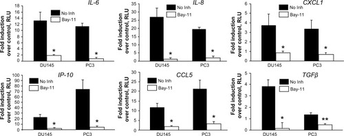 Figure 4 Effect of inhibition of NF-κB on CpG-ODN-induced expression of chemokines and cytokines.Notes: DU145 and PC3 cells were pretreated or not (No Inh) with the NF-κB inhibitor, Bay11-7082 (10 μM) for 1 hour prior to transfection with CpG-ODN (1 μM) for 6 hours. Total RNA was prepared from each sample, converted to cDNA, and used for qRT-PCR in triplicate using the following gene-specific primers: IL-6, IL-8, CXCL1, IP-10, CCL5, and TGFβ1. RNA expression was normalized to GAPDH mRNA levels. The data shown are means ± SD of experiments performed in triplicate. Student’s t-test: *P<0.001; **P<0.05.Abbreviations: NF-κB, nuclear factor kappa-light-chain-enhancer of activated B cells; CpG-ODN, CpG oligodeoxynucleotides; qRT-PCR, quantitative reverse transcription polymerase chain reaction; RLU, relative luciferase units; SD, standard deviation; IL, interleukin; CXCL1, chemokine (C-X-C motif) ligand 1; IP-10, interferon gamma-induced protein 10; TGFβ, tumor growth factor beta; cDNA, complementary DNA; GAPDH, glyceraldehyde 3-phosphate dehydrogenase; mRNA, messenger RNA; Inh, inhibitor.