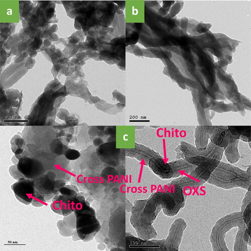 Figure 2. TEM images of Cross PANI (a), Cross PANI/GO-OXS NCs (b), and Cross PANI/Chito-GO-OXS NCs (c) NCs.