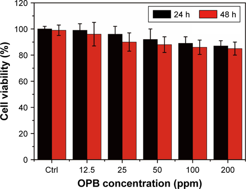 Figure S3 In vitro cytotoxicity.Note: Cytotoxicity of OPBs in 4T1 cells after 24 and 48 hours of incubation.Abbreviations: Ctrl, control; h, hours; OPB, optimized Prussian blue nanoparticle.