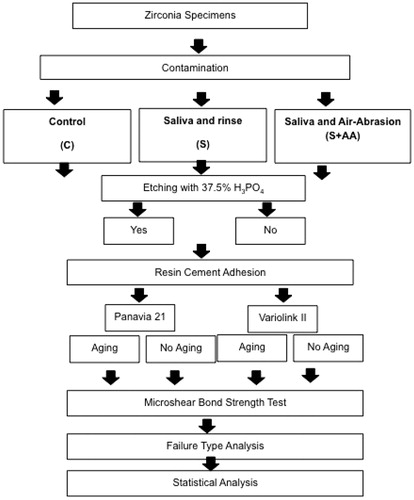 Figure 1. Allocation of experimental groups based on the surface contamination and etching, resin cements and aging.