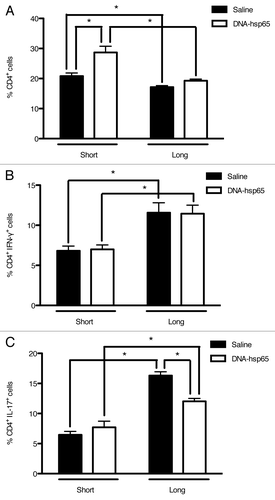 Figure 6. Effects of DNA-hsp65 immunization on CD4+ cells. Percentages of (A) total CD4+, (B) CD4+IFN-γ+ or (C) CD4+IL-17+ cells from the lungs. *p < 0.05 by two-way ANOVA with Bonferroni post-test. The data are presented as the means ± SEM of 7 mice per group of a representative experiment.