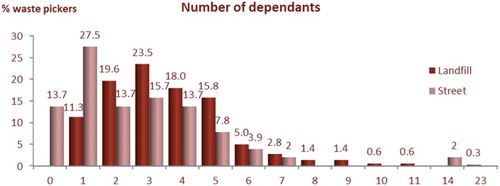 Figure 3. Number of people who depend on a waste picker’s income.
