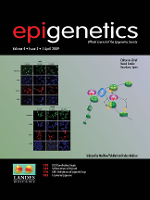 Cover image for Epigenetics, Volume 4, Issue 3, 2009