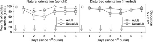 Figure 4. Cockle resurfacing success after repeated depositional events (burial under 2 cm of sediment daily for 5 days). The timing of repeated deposition events are depicted by arrows. Mean percentage (±SE) of adult versus sub-adult cockles found at the surface each day after being placed initially in either a natural upright (left-hand plot) or disturbed inverted (right-hand plot) orientation.