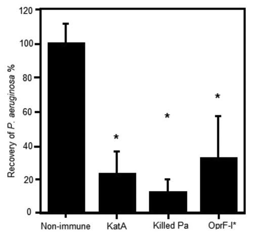 Figure 1. Clearance of P. aeruginosa from the acutely infected lung mouse model, 4h post challenge with live bacteria. Mice (Balb/c) were parenterally immunised with 10 µg antigen (KatA or OprF-I) or 106 colony forming units (cfu) heat killed Pa in Incomplete Freund’s adjuvant (as indicated) on days 0 and 14. Acute P. aeruginosa lung infection involved direct intra-tracheal (IT) inoculation of live P. aeruginosa (106cfu) into the lungs while briefly sedated with alfaxan (12 mg/kg) on day 21. Clearance was assessed at 4 h post live challenge. *P < 0.05 compared with non-immune.