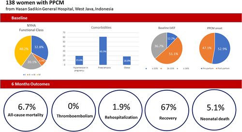 Figure 1 The main results of PPCM registry of Hasan Sadikin General Hospital, West Java, Indonesia.