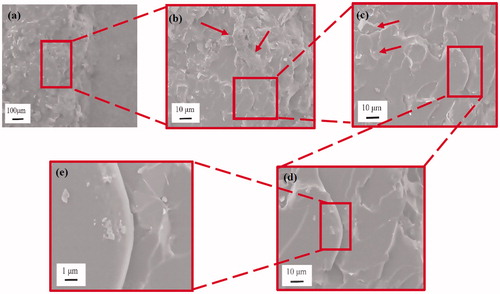 Figure 8. Fracture surface of the 0.375 vol% epoxy/GnP nanocomposite adhesives.