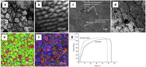 Figure 35. A comparison between cellular structures in AM 316 L steel: (a) as-built, (b) heat treated at 800 °C for 1 h, (c, d) SEM and bright field TEM images of the sample heat treated at 900 °C, (e,f) EBSD phase map and grain orientation map of the sample heat treated at 1100 °C, and (g) tensile stress–strain curves of the as-built and heat-treated (HT) samples (HT was annealing at 1100 °C for 1 h) (Reproduced with permission from[Citation254]).