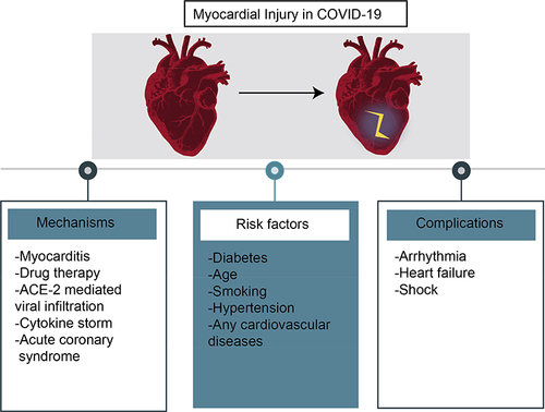 Figure 2 An illustration of myocardial injury in COVID-19.