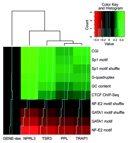Figure 5. Heat map representing the correlations between the density of various genomic features (rows) and the 4C signal for different anchors (columns). As a control for the motif nucleotide content, motifs with shuffled positions were analyzed. The color represents the correlation value; black corresponds to no correlation, and light green or red correspond to positive or negative correlation, respectively. The histogram in the top-right corner shows the distribution of the correlation values presented in the heat map.