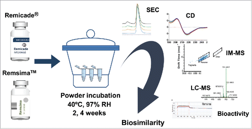 Figure 1. Schematic of stress study design. Humidity/thermal stress of infliximab samples were performed by incubating the drug powders at 40°C at different %RH for 0–4 weeks, followed by reconstitution in WFI and analysis.