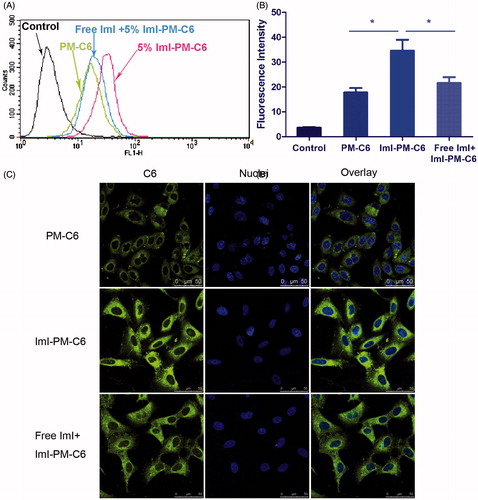 Figure 3. The results of competitive inhibition assay with free ImI. (A) Flow cytometry analysis of A549 cells incubated with PM-C6 or ImI-PM-C6 with 5% ImI modification ratio for 2 h at 37 °C, and the cells in the competitive group were pretreated with free ImI for 1 h. (B) Quantitative results of flow cytometry analysis (*p < .05). (C) Competition experiments conducted using confocal microscope. Green area represents the fluorescence of C6 and blue region represents nuclei stained with Hoechst 33258.