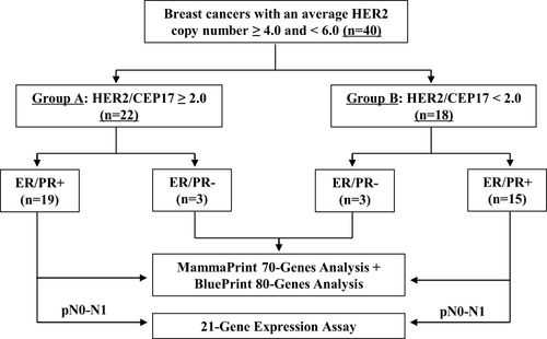 Figure 1 The flow chart of risk classification and molecular typing tests in breast cancer with an average HER2 copy number ≥4.0 and <6.0.