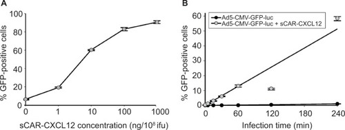 Figure 4 Infection of a cancer cell line by an Ad pre-complexed with a bispecific adapter, sCAR-CXCL12, is concentration and time dependent.