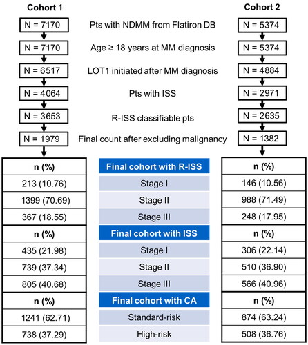 Figure 1. Patient identification. CA: chromosomal abnormalities; DB: database; ISS: International Staging System; LOT1: first line of therapy; NDMM: newly diagnosed multiple myeloma; pts: patients; R-ISS: revised ISS.