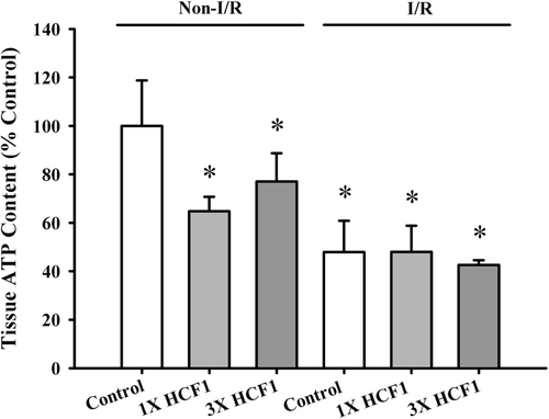 Figure 9.  The effect of long-term HCF1 pretreatment on tissue ATP content in rat hearts. Animals were orally treated with HCF1 at daily doses of 1.14 (1×) and 3.42 (3×) mg/mL for 14 consecutive days. The basal tissue ATP content was determined as described in Materials and methods. Data were expressed in percent control with respect to the non-ischemia/reperfused (I/R) control (control tissue ATP content = 1273 ± 239 nmol/mg protein tissue). Values given are mean ± SEM, with n = 5. *Significantly different from the non-I/R control group.