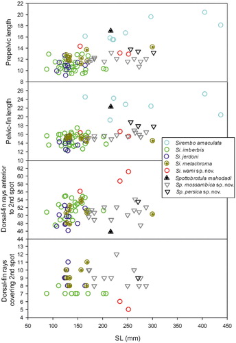 Figure 4. Two morphometric characters (distance from snout to pelvic fin origin and pelvic fin length (both in per cent SL)) and two meristic characters (number of dorsal fin rays anterior of the second dark spot and number of dorsal fin rays covered by the second spot) plotted against SL in five species of Sirembo and three species of Spottobrotula.