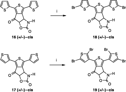 Scheme 5 Synthesis of compounds 18–19. Reagents: (i) Br2, CH2Cl2.