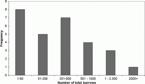 Figure 2  Frequency of colony size of Westland petrels as measured by the total number of burrows.