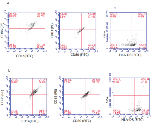 Figure 4. The surface molecules of DCs detected by flow cytometry.