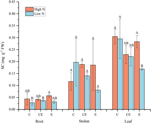 Figure 5. Effect of nitrogen and water level treatments on soluble carbohydrate（SC）of V. asiatica.