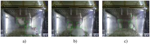 Figure 22. Examples of mice detection in test images.