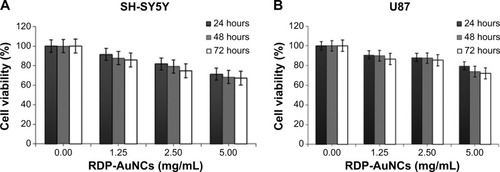 Figure 4 In vitro cytotoxicity assay of RDP-AuNCs in (A) SH-SY5Y cells and (B) U87 cells by 3-(4,5-dimethylthiazol-2-yl)-2,5-diphenyltetrazolium bromide (MTT) assay.Note: Data are expressed as mean ± standard error of the mean (n=4).Abbreviations: AuNCs, gold nanoclusters; RDP, rabies virus glycoprotein derived peptide.