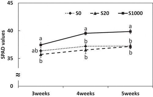 Figure 1. Changes in SPAD values from 3 to 5 weeks after sowing with 0, 20, or 1000 µM S. Each value was mean of 10 biological replicates with standard error. Different letters on bars indicate signiﬁcant differences in SPAD value between S treatments according to Tukey test (P < 0.05)