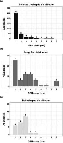 Figure 3. Typical DBH class distribution profiles of the most widely used tree species. (a) Inverted J-shaped distribution (healthy population profile; dark shaded), exemplified by Millettia ferruginea from farmland; (b) irregular distribution (selective removal population profile; dark grey shaded), exemplified by Syzygium guineense from forest with coffee management; and (c) bell-shaped distribution (poor regeneration and lack of old trees population profile; light grey shaded), exemplified by Olea Welwitschiii from forest with coffee management. DBH classes are: 1 = <5 cm; 2 = 5.1–10 cm; 3 = 10.1–20 cm; 4 = 20.1–30 cm; 5 = 30.1–40 cm; 6 = 40.1–50 cm; 7 = 50.1–60 cm; 8 = 60.1–70 cm; and 9 = >70 cm. Numbers above bars refer to the number of plots in which individuals in the size class occurred.